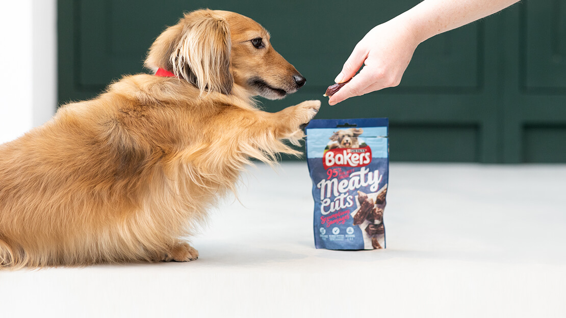 Bakers meaty cuts cheap dog treats